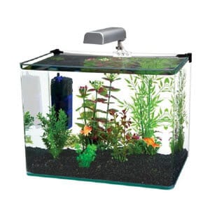 Kwaliteit en unieke aquariumkit van 10 gallon