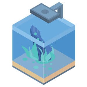Kwaliteitsstarter 10 gallon aquarium
