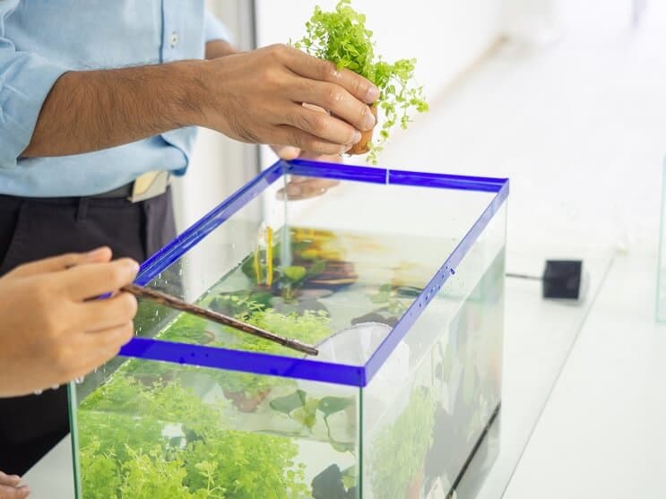 Tank van 10 gallon