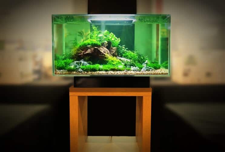30 gallon tankuitrusting
