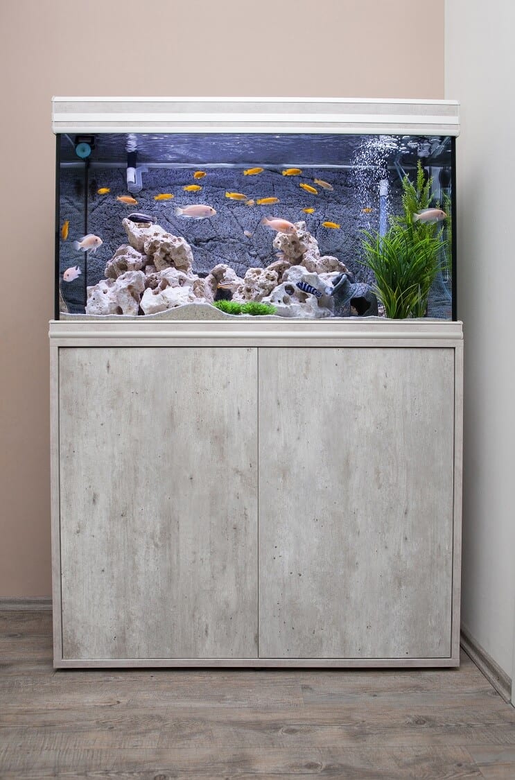 Een tank van 30 gallon opzetten