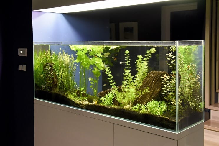40 gallon installatie-ideeën