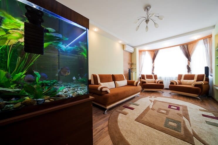 Een tank van 40 gallon opzetten