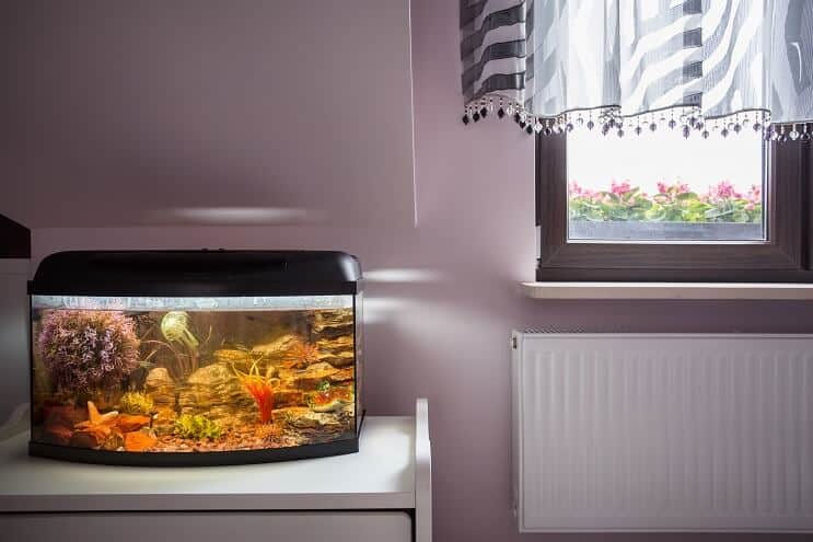 Kleine tank