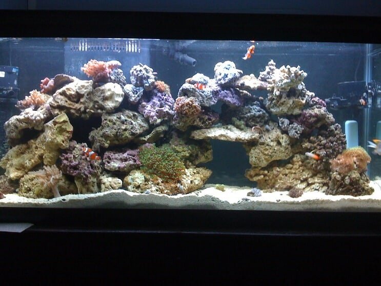 55 gallon riftank