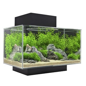 Fluval Edge-aquarium