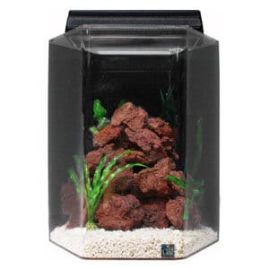 Beste unieke tank van 15 gallon