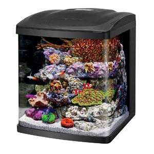 Beste premium tank van 15 gallon