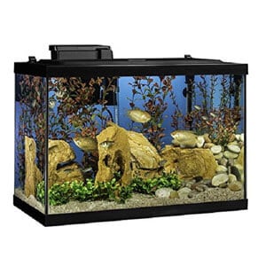 Beste 20 gallon aquariumstartkit