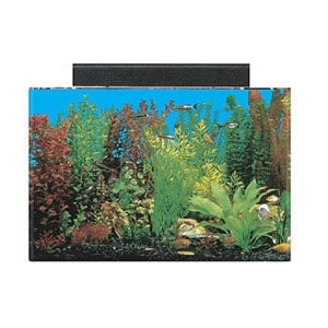 Beste 20 gallon aquarium