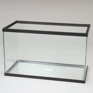 Meest betaalbare 20 gallon aquarium