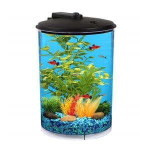 Koller Aquaview Tank van 3 gallon