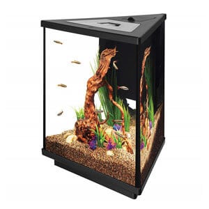 Aqueon 3 gallon tank