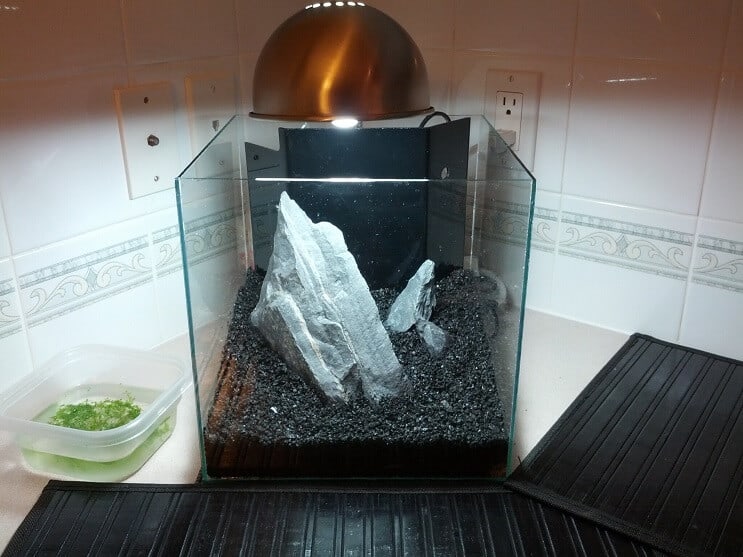 Tankopstelling van 3 gallon