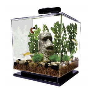 Het Tetra Aquarium