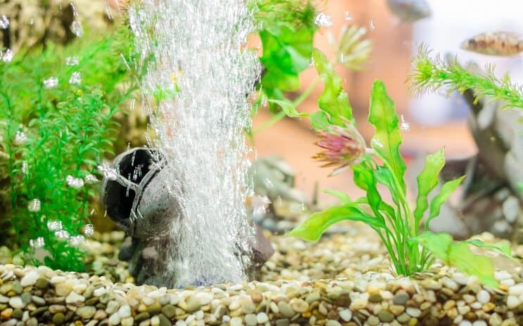 Aquariumdecoratie met luchtsteen