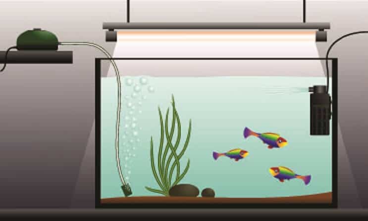 Aquarium luchtpomp instellen