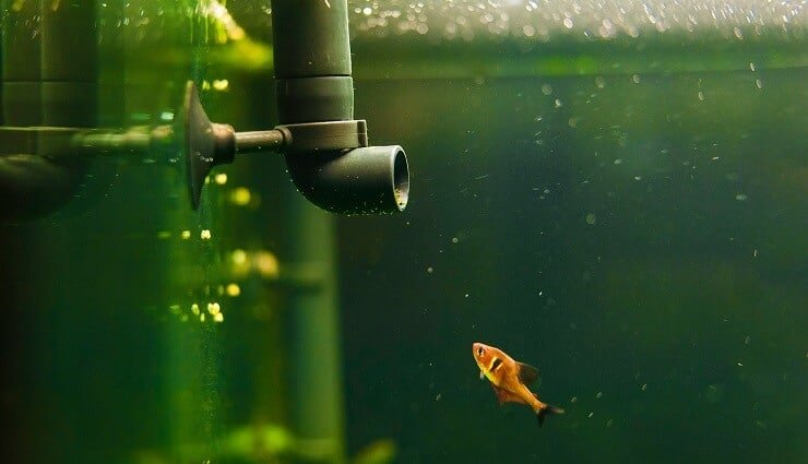 15 gallon tankfilter