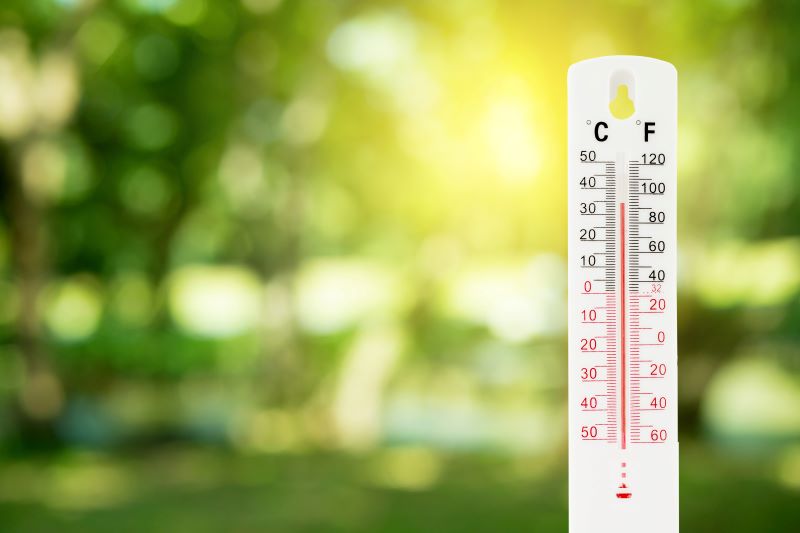Beste aquariumthermometer