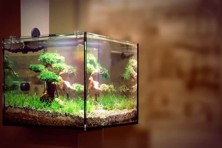 LED-aquariumverlichting