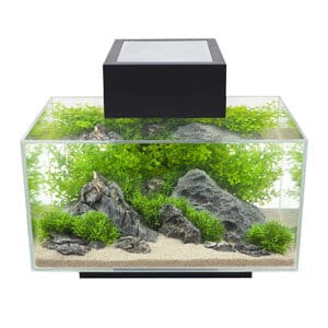 Stijlvolle 6 gallon tank