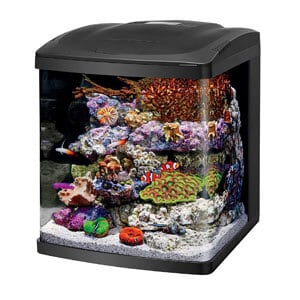 Coralife Nano Cube Aquarium
