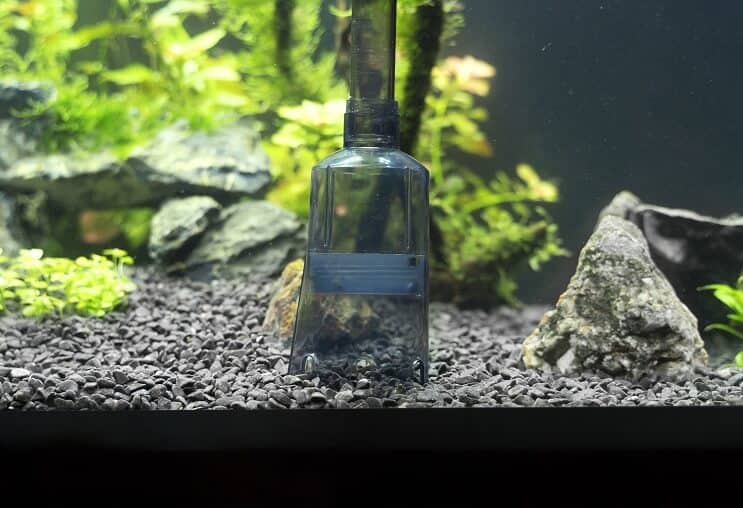 Fish Tank Grind Sifon