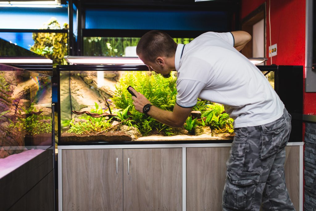 Hoe een aquarium te bouwen