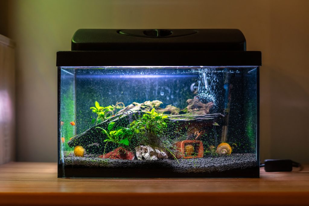 Hoe een aquarium te bouwen