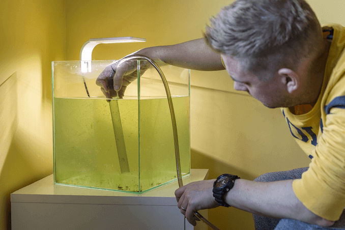 Water uit de tank overhevelen