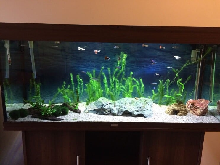 Afgewerkte tank