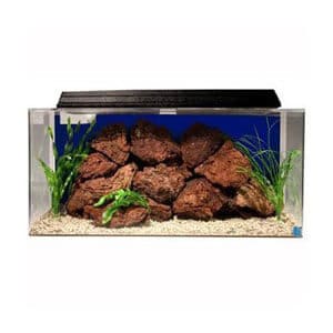 Beste startpakket van 50 gallon