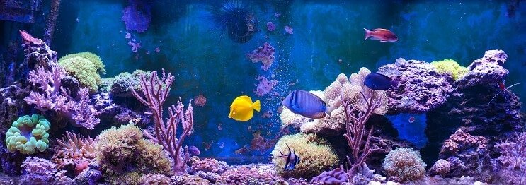Zoutwatertank