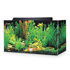 30 gallon Seaclear acryl aquarium