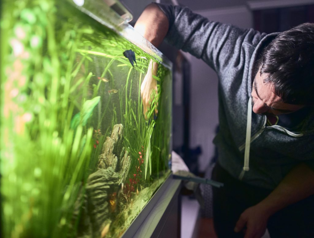 troebel water in aquarium