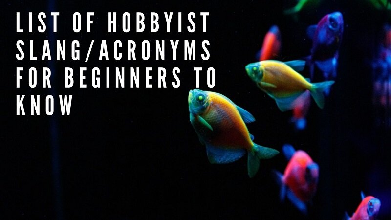 lijst met hobbyist slang_acroniemen voor beginners om te kennen