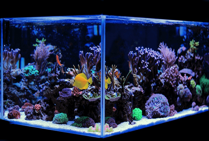 Aquarium een