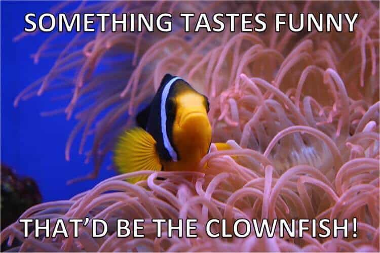 Clownfish vis woordspelingen