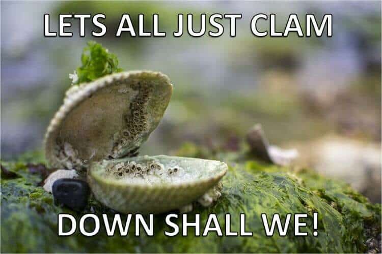 Clam woordspeling