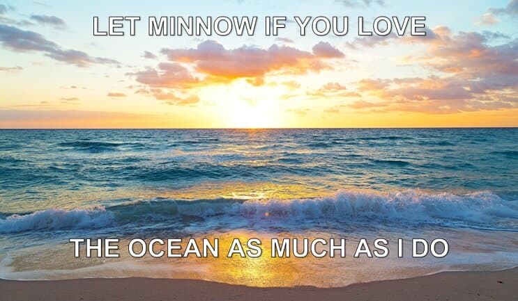 Laat Minnow