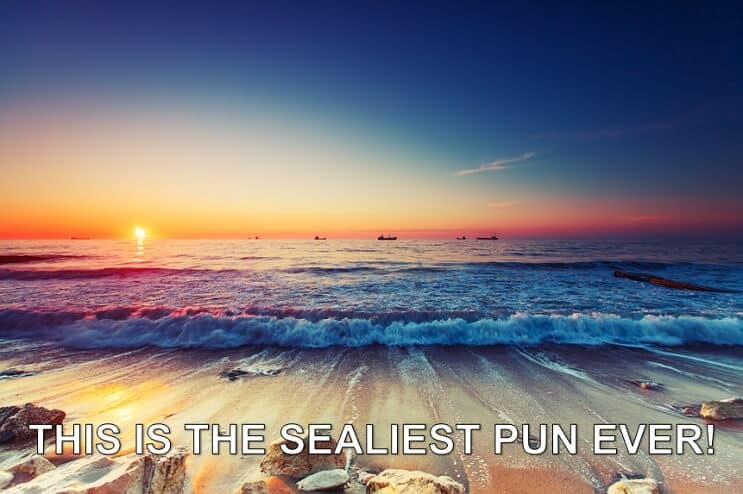 Sealiest Pun ooit