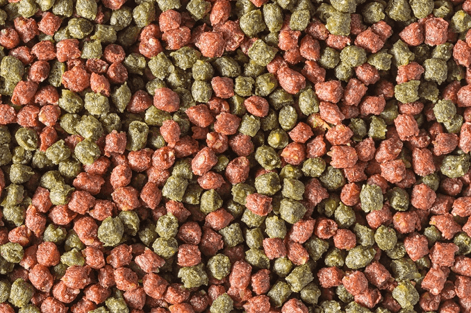 Gedroogde Pellets