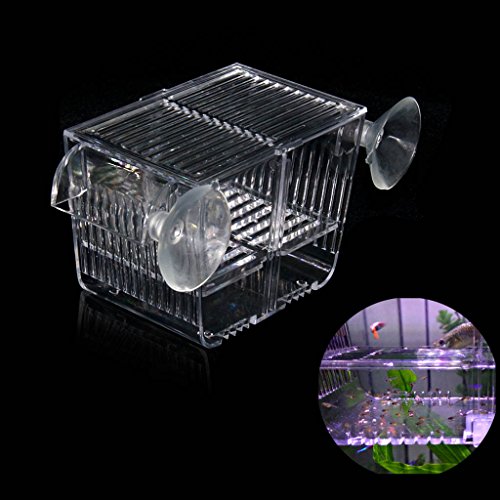 boxtech Aquarium Fish Tank Broederij Incubator Kweekdoos, Acryl Wit Fokker Isolatie Divider Broeddozen Accessoire Kleine babyvissen Garnalen Anemoonvis Guppy (5,2x2,7x2,9 ``)