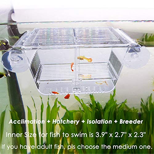 capetsma Fish Breeding Box, Acryl Fish Isolation Box met zuignappen, Aquarium Acclimation Broederij Incubator voor Baby Fishes Garnalen Clownfish en Guppy. Kleine maat (S)