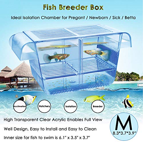capetsma Fish Breeder Box, Hang-on Nursery Fish Tank met Breeding Broatching Incubator Acclimation Box, Perfect Fish Tank Divider voor agressieve gewonde zwangere vissen Kleine vissen Artemia Clownfish