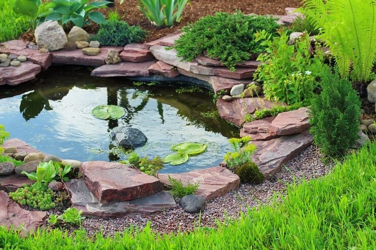 Turtle Pond-opstelling
