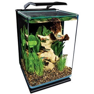 Klein aquarium Ideaal voor aanrecht Paludarium