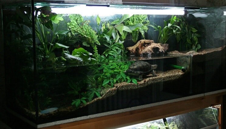 Tank Inwoners Idee